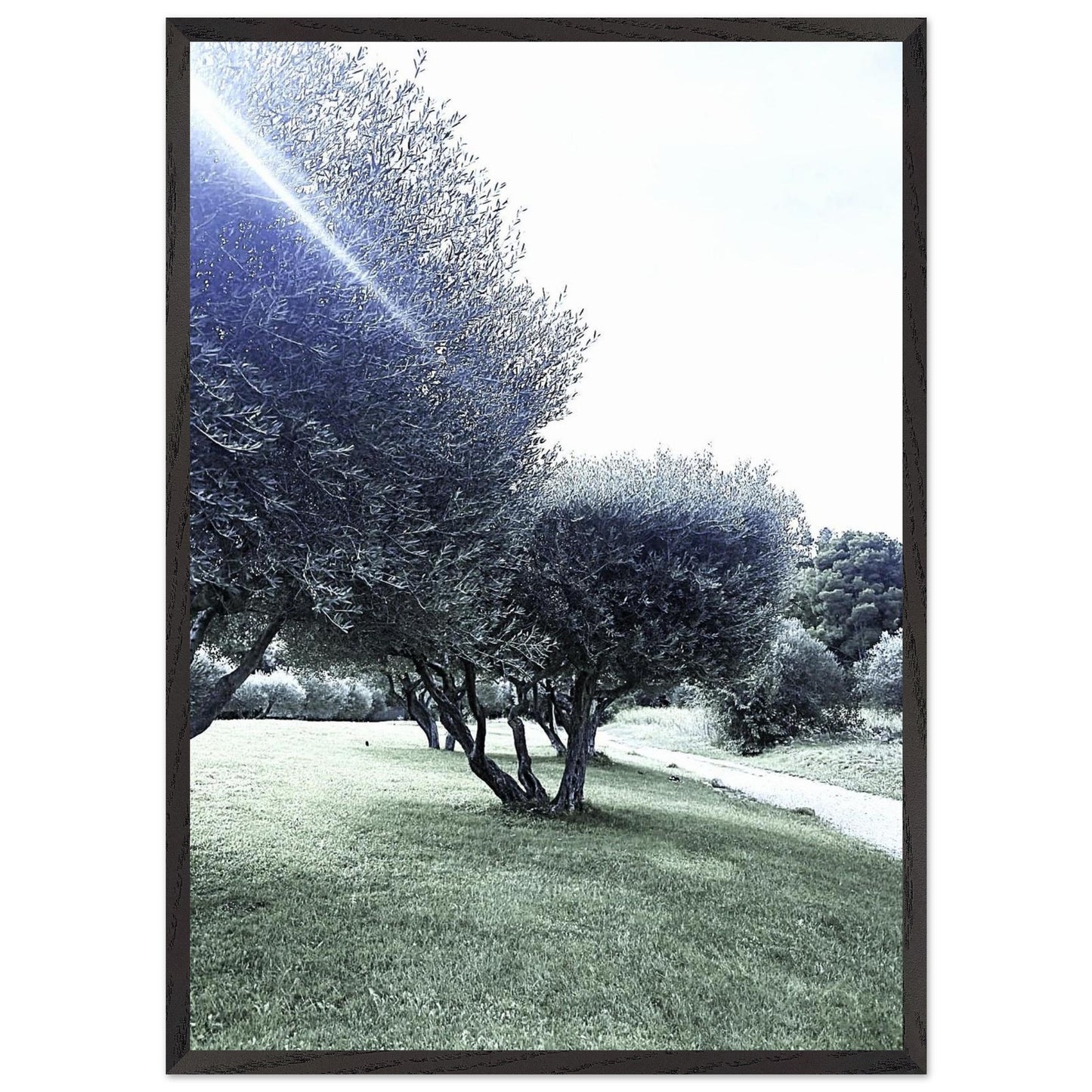 09250d91-7d1e-4a37-8606-5ba2e2ebc370