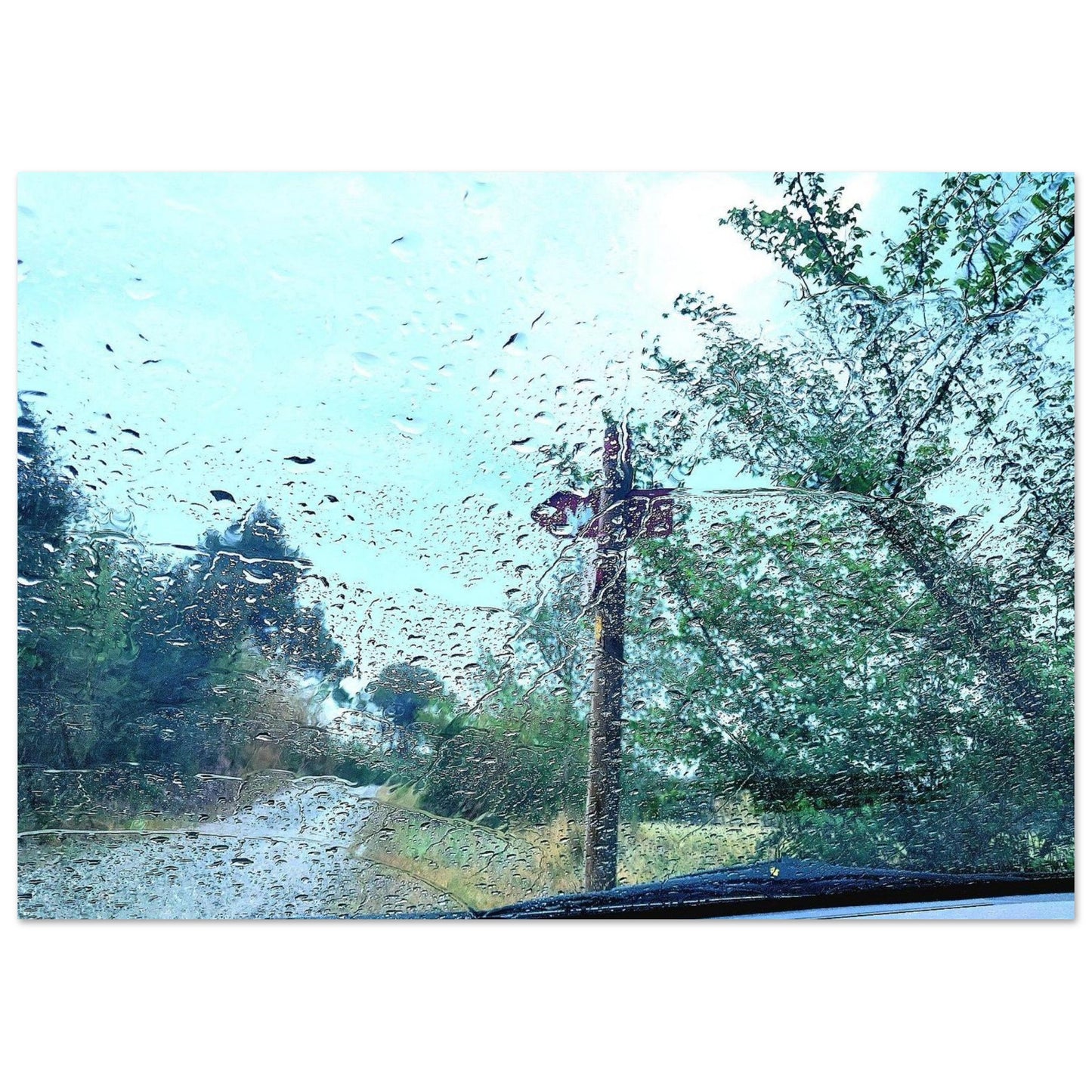 15008310-e134-490a-ba7c-5b83ddedd2c5
