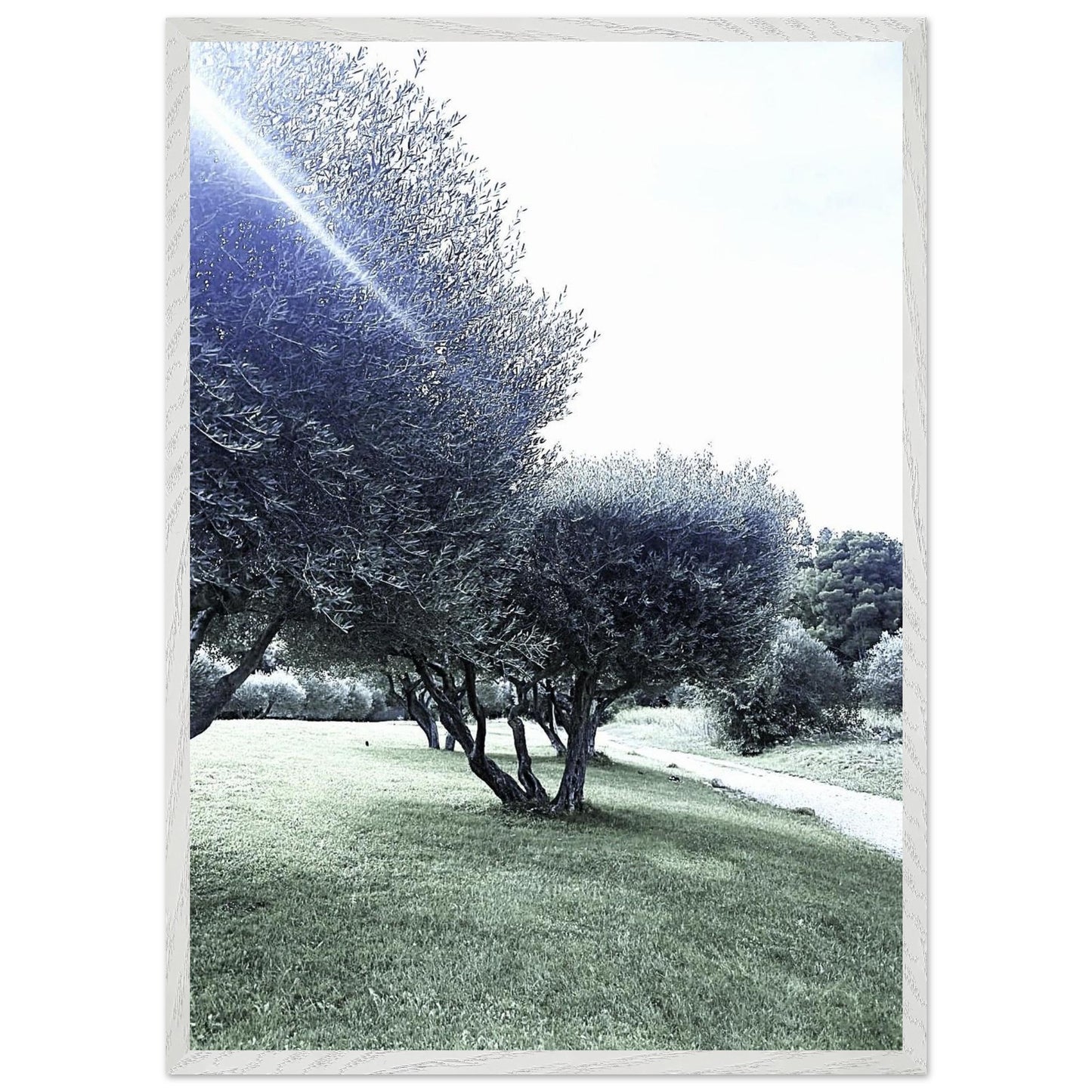 8b44fe1c-3203-416a-a508-ed6562c4b129