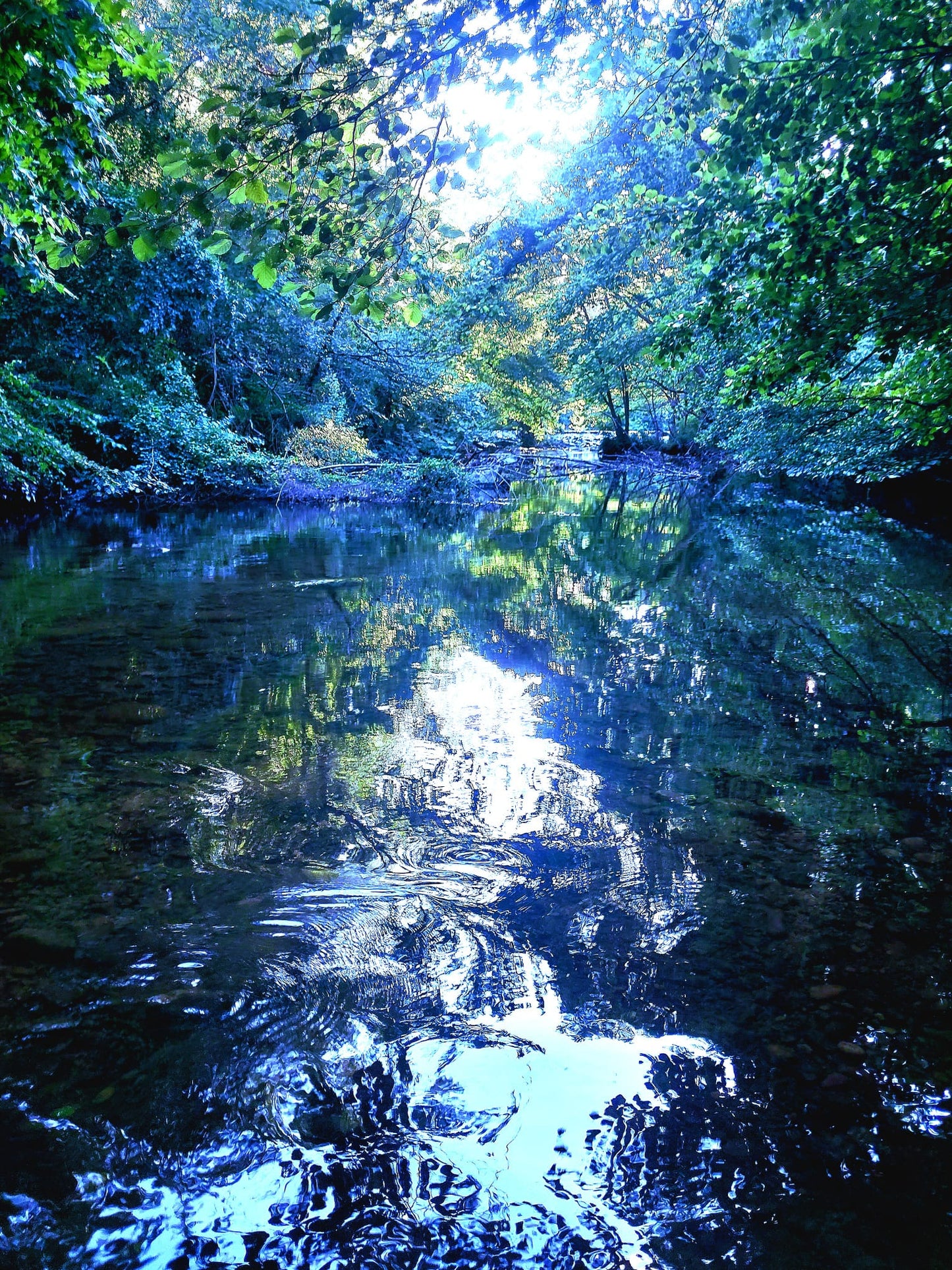 Naturaleza Divina