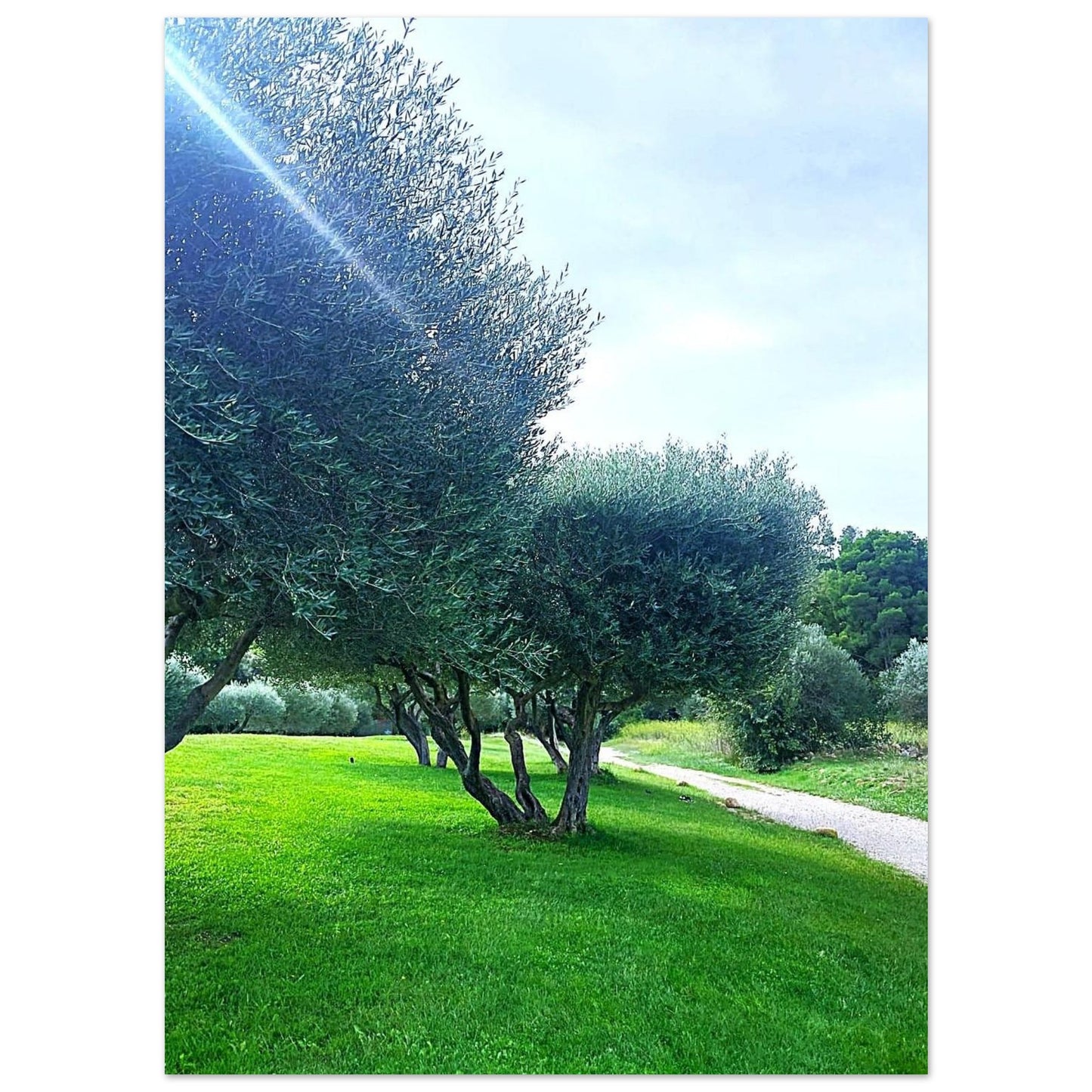 a9098c0e-2de2-4f59-af7e-580e7bcbbedb