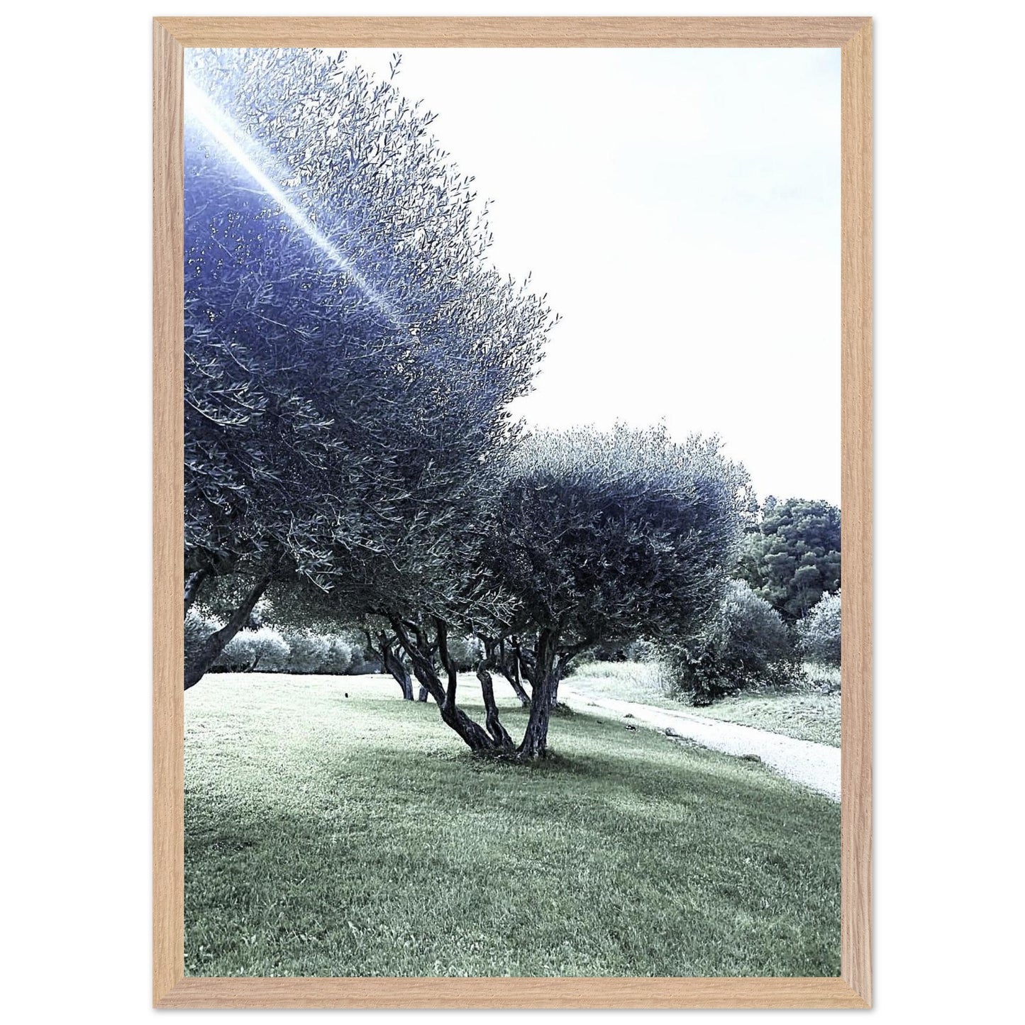 afb089c6-6520-4f30-a6e5-bfe4fab68b44