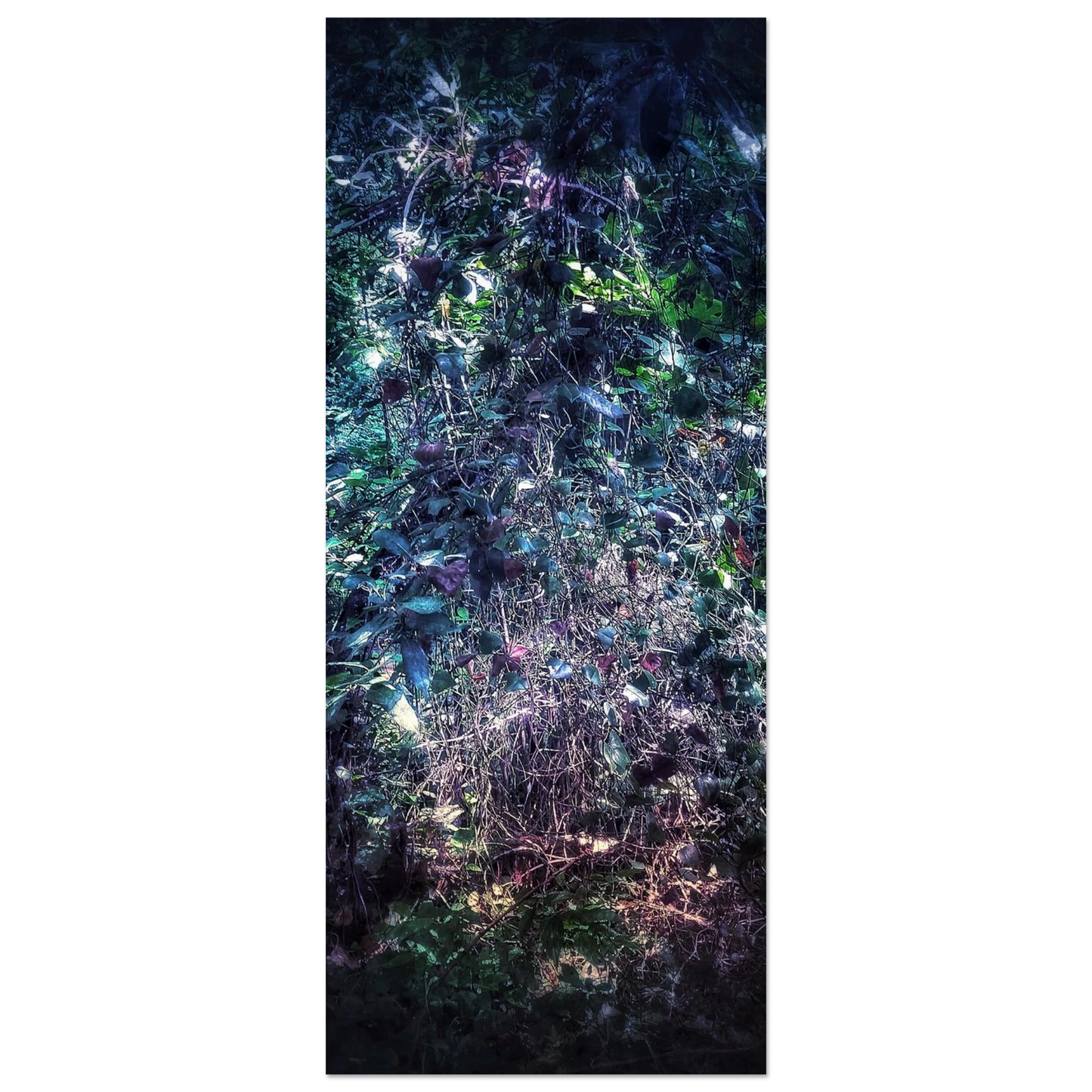 b3108b82-61f1-46d5-bb05-46315ecc7609