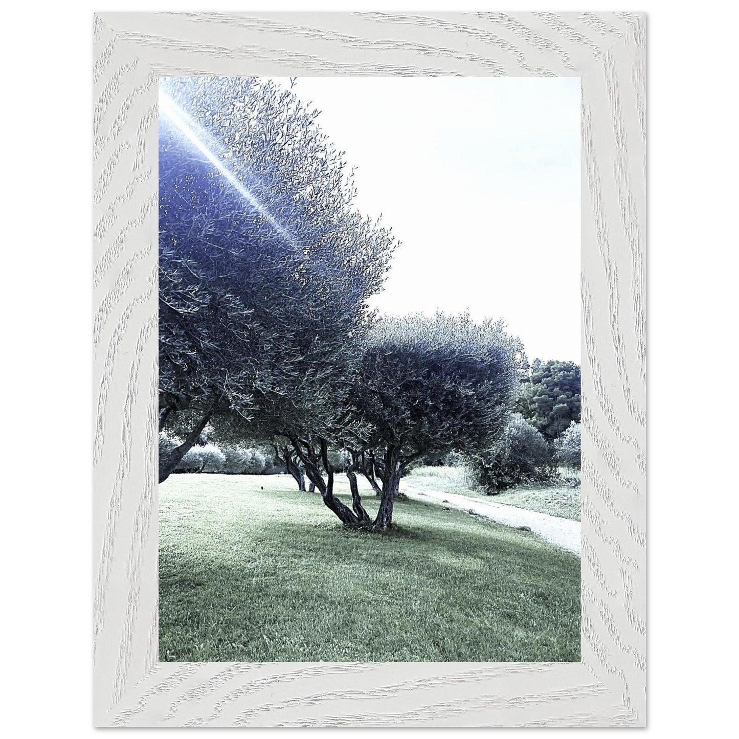bcd79e54-8ce2-4674-9f7e-dfe0ee50c9ab