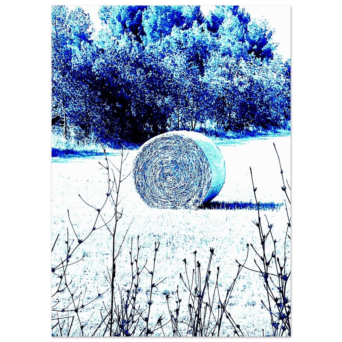 f07bb8d2-bd10-40d0-a4c6-08874454a04d