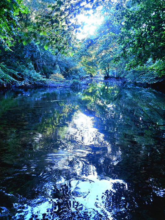 Naturaleza Divina