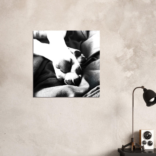Póster artístico en blanco y negro con huella de perro, impresión giclée en papel mate FSC, disponible en varios tamaños.