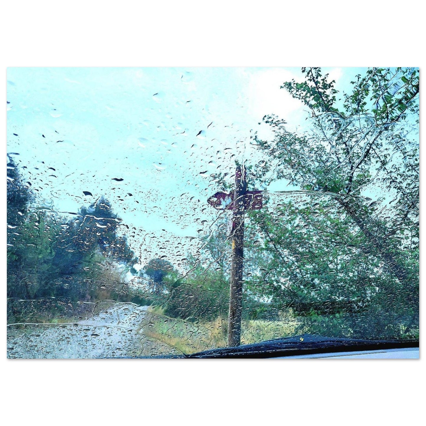 a5f4cb99-d6f1-4c70-8ae9-788f6c4bc9c7