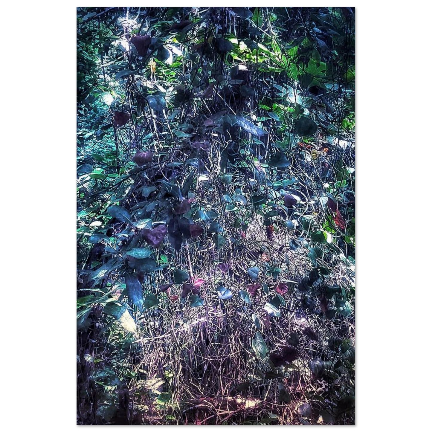 a67951bb-fffe-46d8-a56c-eb06337b33d4