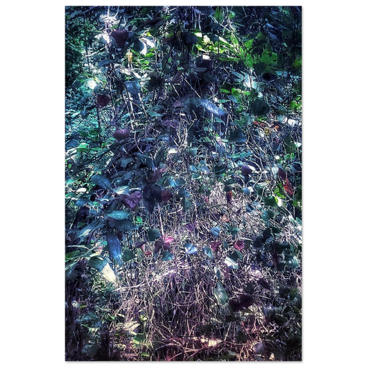 a67951bb-fffe-46d8-a56c-eb06337b33d4