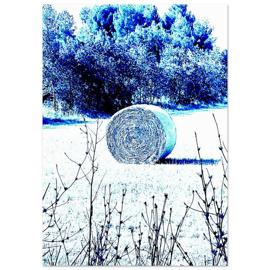 ee505025-f86e-440a-a5d4-5da389fd73c9